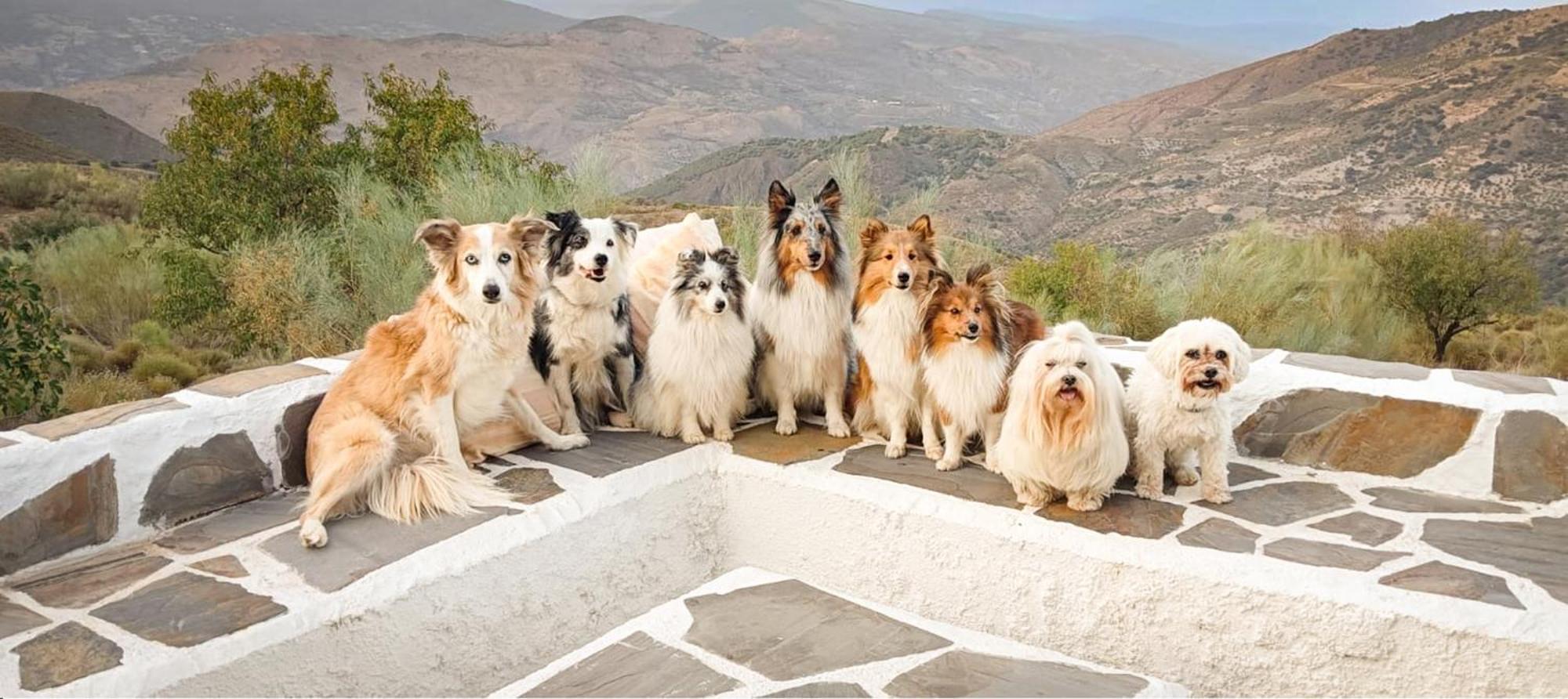 Вилла Cortijo La Vista Орхива Экстерьер фото