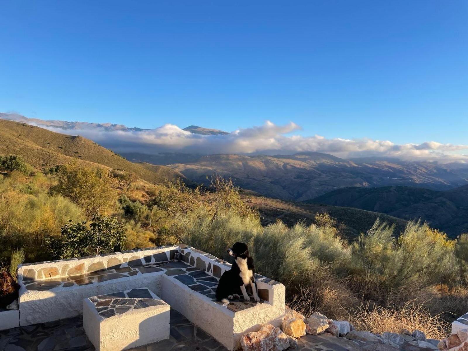 Вилла Cortijo La Vista Орхива Экстерьер фото